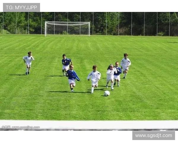 探索当代足球运动员成长之路及其在全球赛场的影响力与未来发展趋势