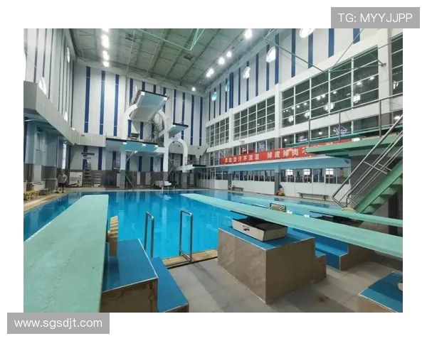 跳水运动的发展历程与技术演变：从竞技项目到全民健身的多维探索