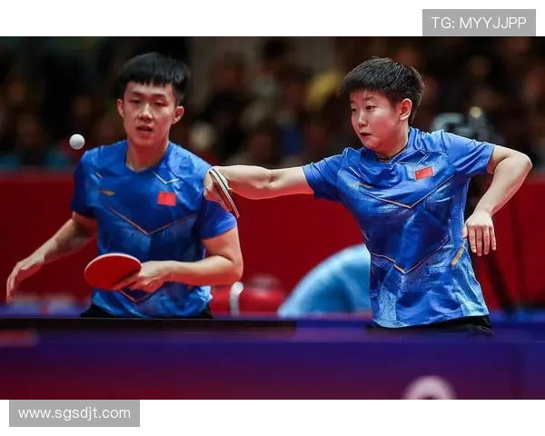 乒乓球的魅力与精神：深入了解北京乒乓球队的训练与文化