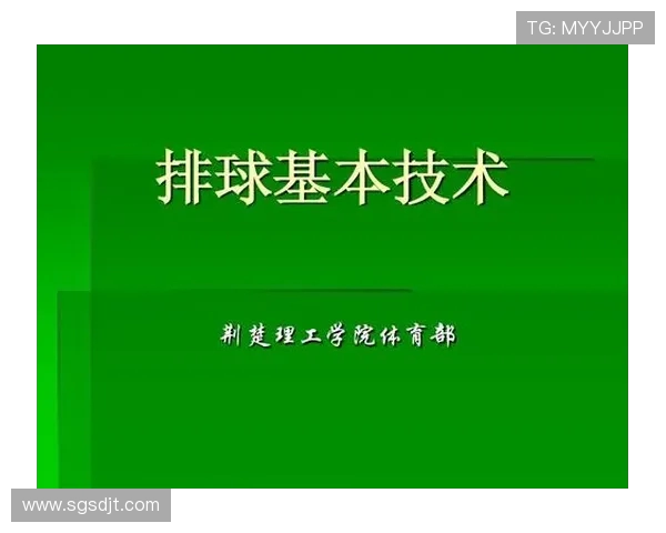 南京排球队技术分析与发展策略探讨聚焦排球竞技新趋势