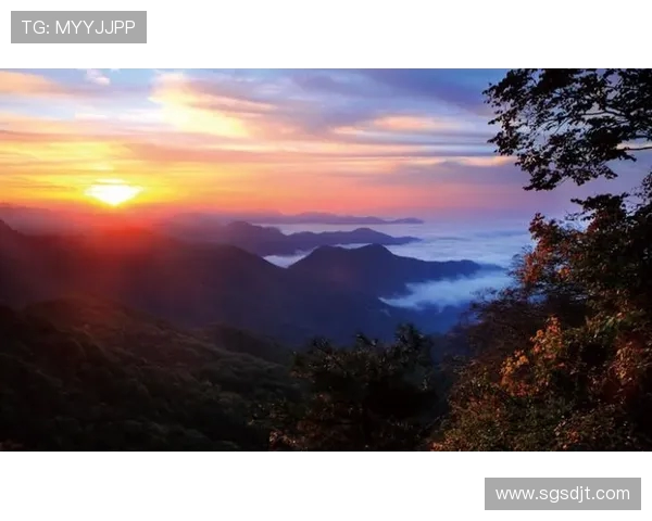 陈芳的攀岩人生：在高峰与深渊之间的深度对话与心灵探索