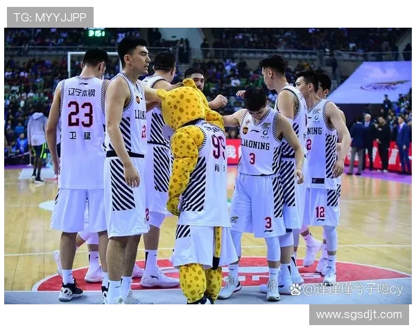 2017年CBA季后赛辽宁队对决广东队的精彩回顾与战术分析